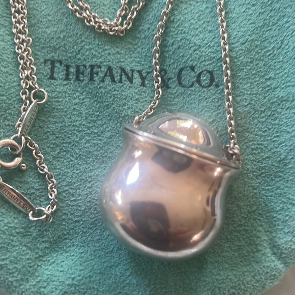 Elsa Peretti for Tiffany Sterling Inro Bottle Necklace - Picture 2 of 7